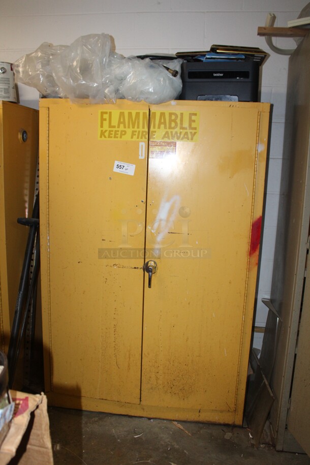 SE-CUR-ALL Safety Storage Cabinet and Contents! Includes Various Pains, Leak Stopper, Stain, and Primer. 43x18x65