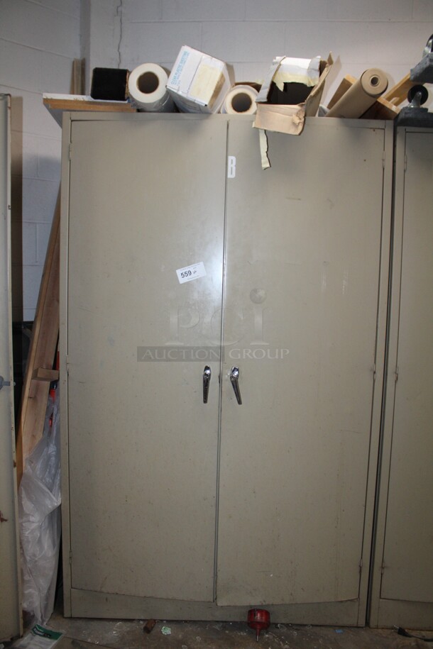 Metal Storage Cabinet with Various Tools, White Tubing, Caulk and Davidson Ladder! 48x24x78
