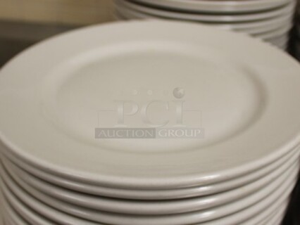26 Next Day Gourmet 12" Plates. 26X Your Bid!