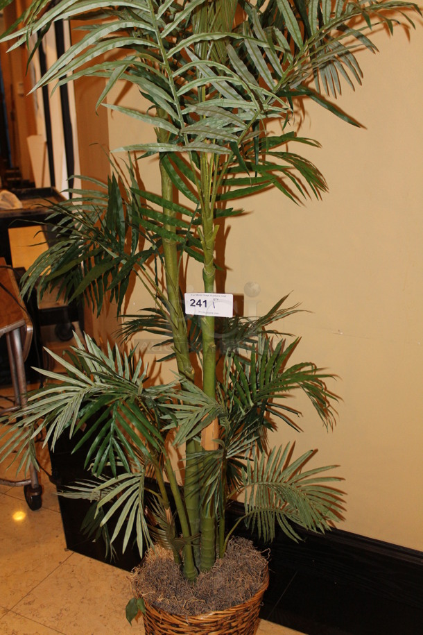 Majesty Palm Tree in Planter. 14x14x78