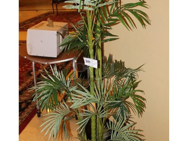 Majesty Palm Tree in Planter. 14x14x78 - Image 2 of 3