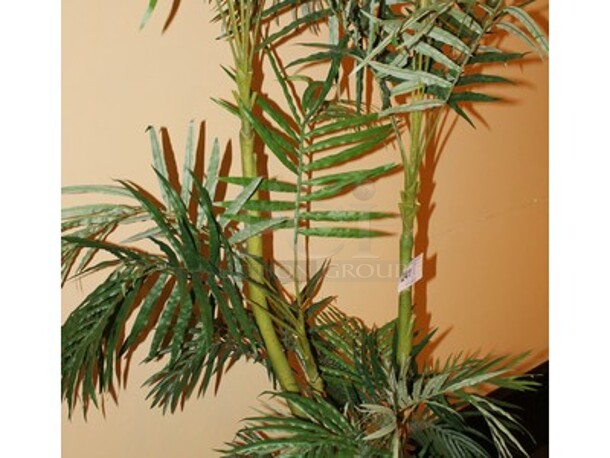 Majesty Palm Tree in Planter. 14x14x78 - Image 3 of 3