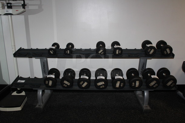 Life Fitness Metal Dumbbell Rack. Lot Does Not Include Dumbbells. 90x25.5x31. BUYER MUST REMOVE!