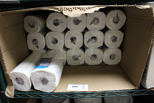 ALL ONE MONEY! Lot of 17 Rolls of Paper Towels! (kitchen) - Image 1 of 3