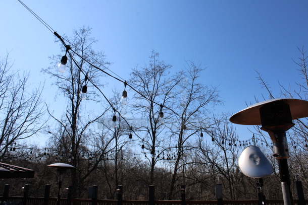 ALL ONE MONEY! Lot of Outdoor Lighting! BUYER MUST REMOVE. (patio) - Image 5 of 7
