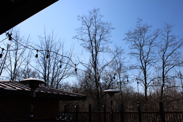 ALL ONE MONEY! Lot of Outdoor Lighting! BUYER MUST REMOVE. (patio) - Image 6 of 7