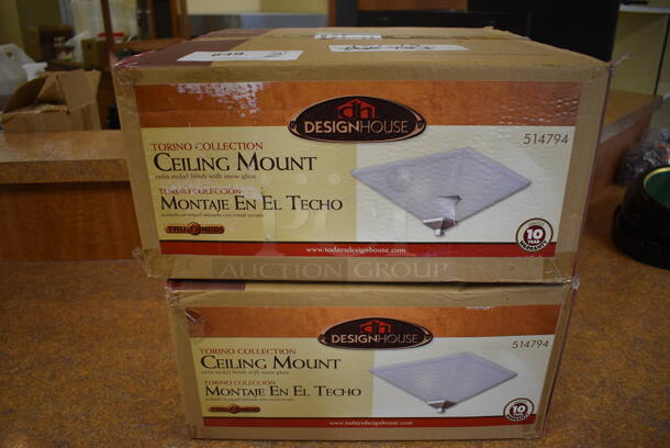2 BRAND NEW IN BOX! Design House Ceiling Mount Light Fixtures. 2 Times Your Bid! (gift shop)