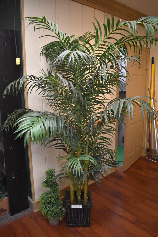2 Various Trees. Includes 26", 77". 2 Times Your Bid! (garden center) - Image 1 of 3