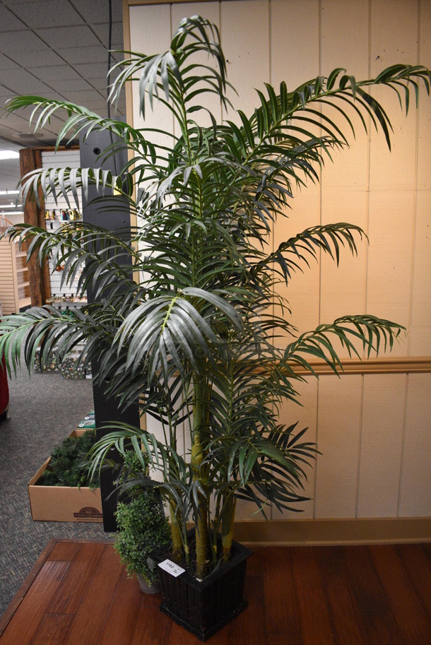2 Various Trees. Includes 26", 77". 2 Times Your Bid! (garden center) - Image 2 of 3