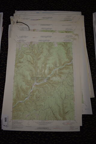 ALL ONE MONEY! Lot of Various Maps. Includes 27x21. (room 220)