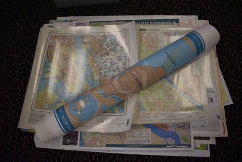 ALL ONE MONEY! Lot of Various Maps. Includes 23x22. (room 220)