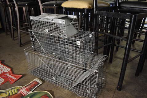 3 Metal Live Animal Traps. Includes 32x10x12. 3 Times Your Bid! (basement)