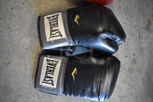 ALL ONE MONEY! Lot of Everlast and Title Boxing Gloves - Image 4 of 6