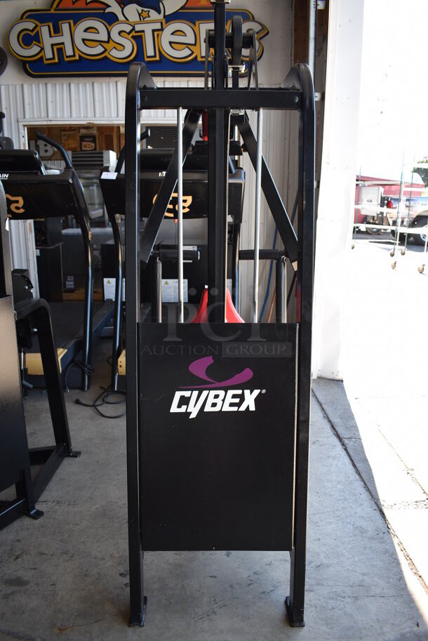 Cybex Black Metal Commercial Dual Axis Rear Delt Machine. 23x60x81 - Image 4 of 7