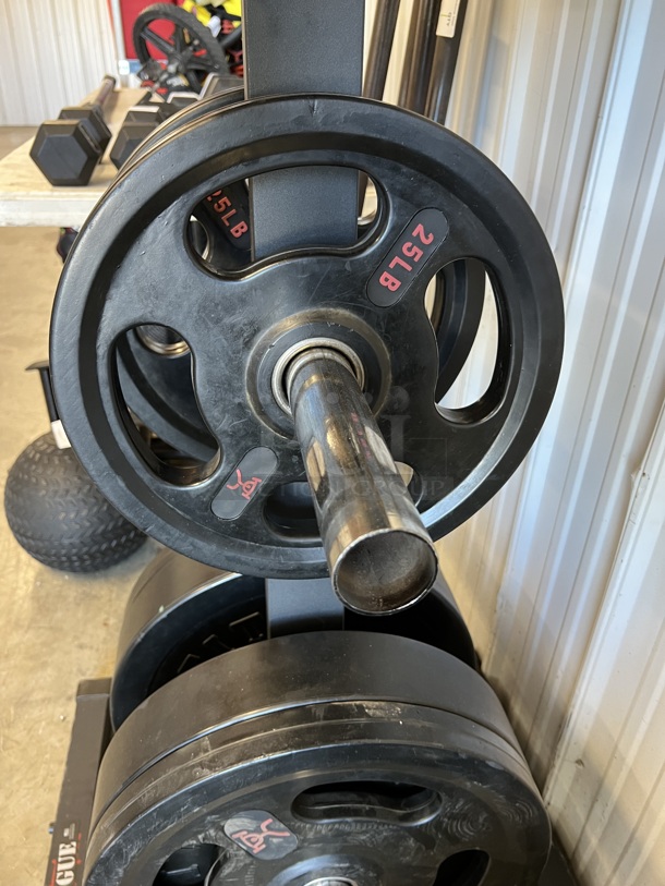 Rogue Black Metal Floor Style 3 Tier Weight Plate Rack w/ Ten 10 Pound, Two 25 Pounds and Four 45 Pounds. Total of 330 Pounds of Bumper Plates. 26x26x58 - Image 5 of 8