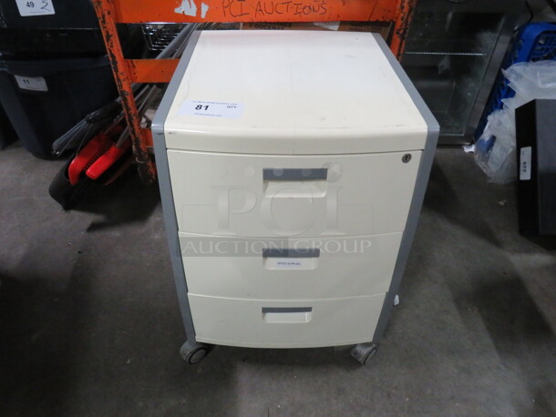 One 3 Drawer Poly File Cabinet On Casters. 17.5X19X25.5