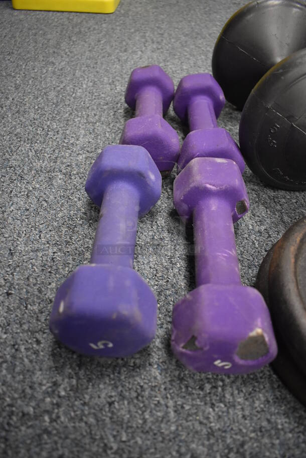 ALL ONE MONEY! Lot of 4 5 Pound Dumbbells, 10 Pound Weight Plate, 50 Pound Weight Plate, 2 10 Pound Dumbbells, 25 Pound Dumbbell. (Classroom 10) - Image 2 of 6