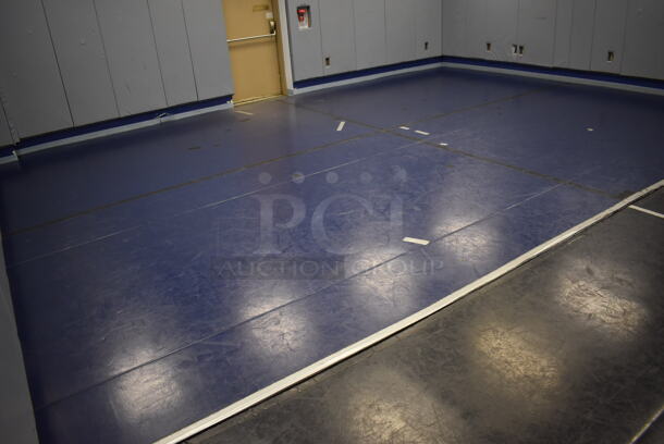 Blue Floor Mat. BUYER MUST REMOVE. 278x203. (Classroom 10)