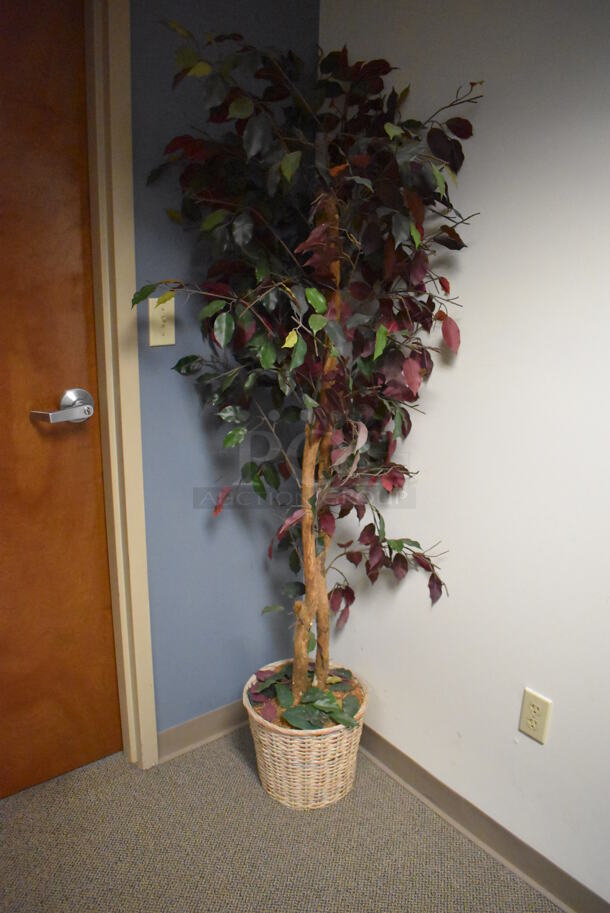 ALL ONE MONEY! Room Lot of Various Items Including Desks, Table, Chairs, Fake Plant. BUYER MUST REMOVE. (Faculty Offices) - Image 8 of 9