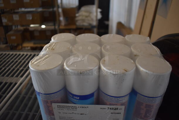 ALL ONE MONEY! Lot of Various Items Including Lysol Disinfectant and Glass Panes - Image 3 of 5