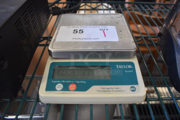Taylor TE32FT Metal Countertop Food Portioning Scale. 6x8x2