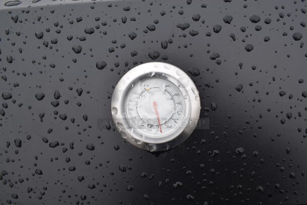 BRAND NEW SCRATCH AND DENT! Backyard Pro 554SMOKR60AS Metal Commercial Charcoal / Wood Smoker Grill with Adjustable Grates and Dome on Commercial Casters. Missing Hardware. 72x31x50 - Image 4 of 7