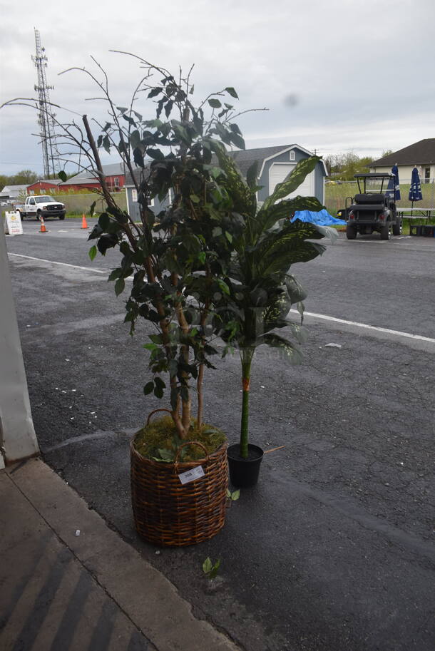 2 Tall Faux Plants, 1 In Basket 1 In Black Pot. 2 Times Your Bid!  - Image 2 of 3