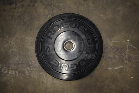 12 Rogue Metal 10 Pound Bumper Plates. 12 Times Your Bid!