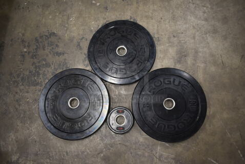 10 Rogue Metal Bumper Plates; Four 25 Pound, Four 10 Pound and Two Five Pound. 10 Times Your Bid!