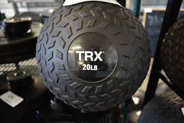 3 TRX 20 Pound Medicine Balls. 3 Times Your Bid! - Image 3 of 3