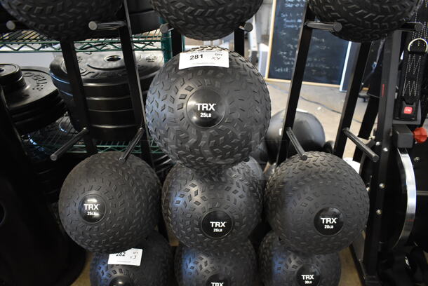 4 TRX 25 Pound Medicine Balls. 4 Times Your Bid! - Image 1 of 3