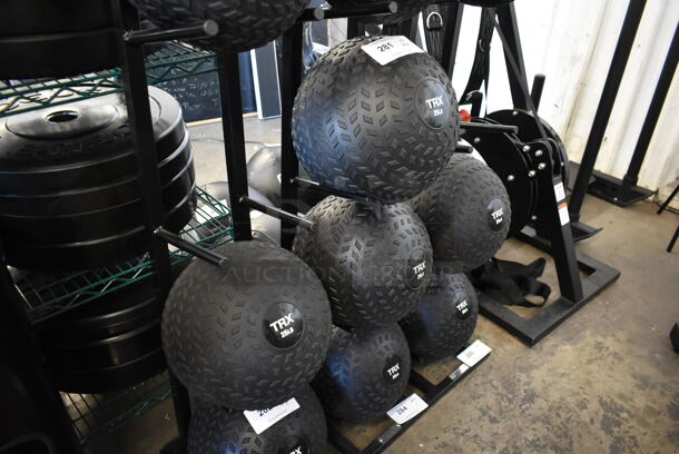 4 TRX 25 Pound Medicine Balls. 4 Times Your Bid! - Image 2 of 3