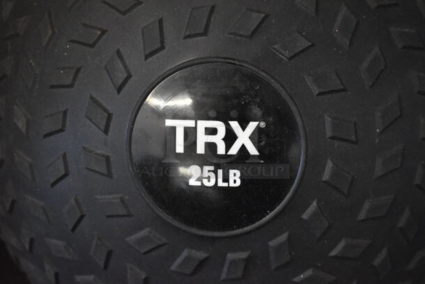 4 TRX 25 Pound Medicine Balls. 4 Times Your Bid! - Image 3 of 3