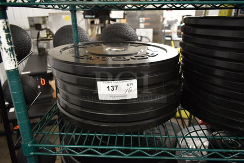 6 Rogue Metal 15 Pound Bumper Plates. 6 Times Your Bid!