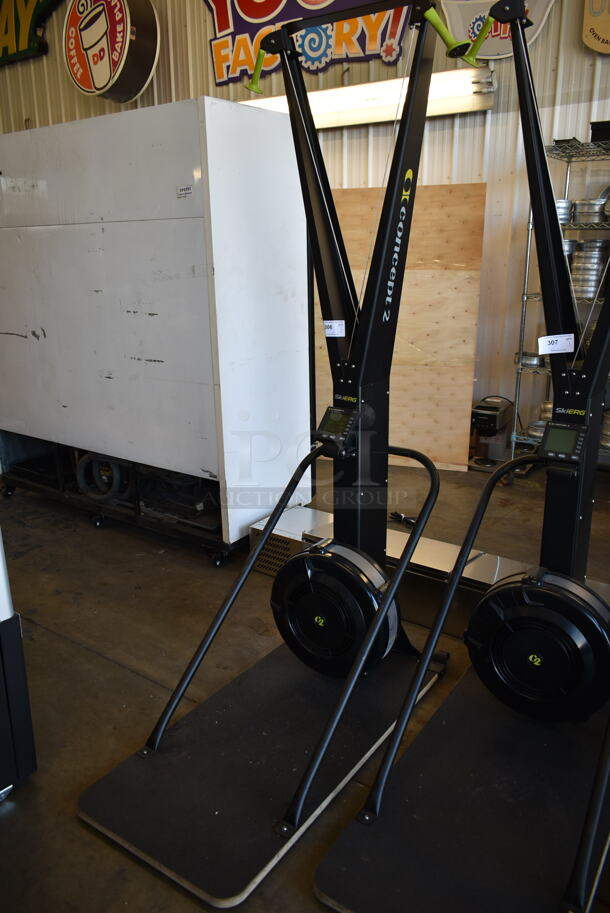 Concept 2 SkiERG Metal Commercial Floor Style Nordic Skiing Exercise Machine. Tested and Working! - Image 2 of 8