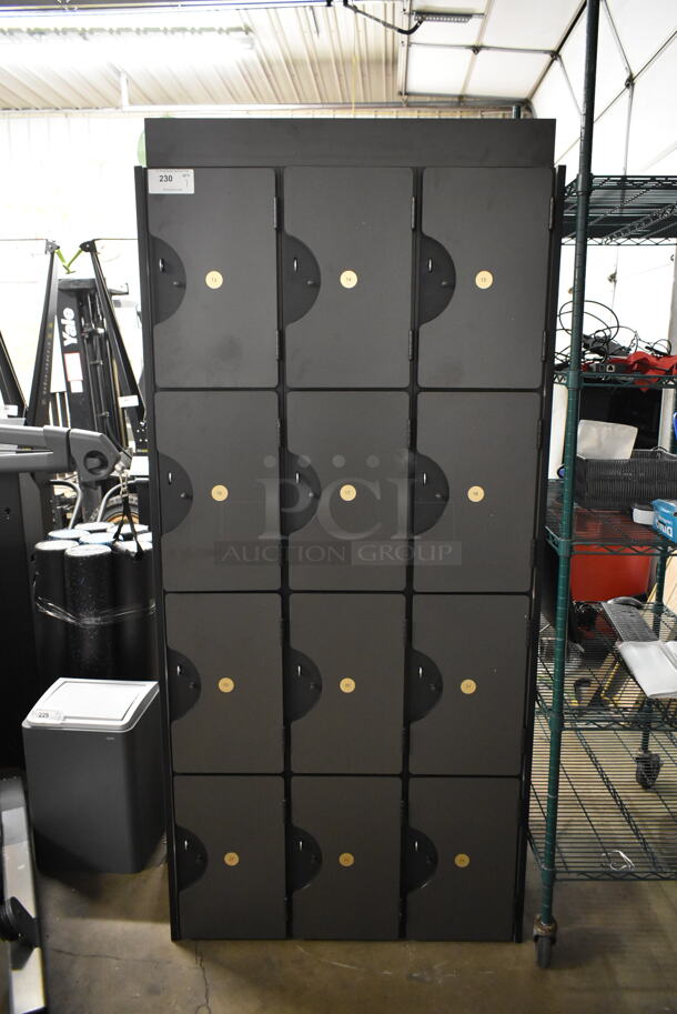 CUSTOM MADE! Gray/Black 12 Cubby Locker. - Image 1 of 7
