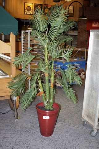 6ft High Quality Artificial Plant & Pot. 