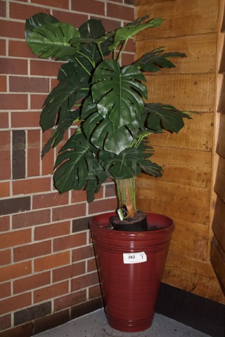 ULTRA REALISTIC! Artificial Ashland Tree In Pot