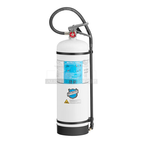 BRAND NEW SCRATCH AND DENT! Buckeye 47251000 2.5 Gallon Water Mist AC Fire Extinguisher - Rechargeable Untagged - Image 1 of 3