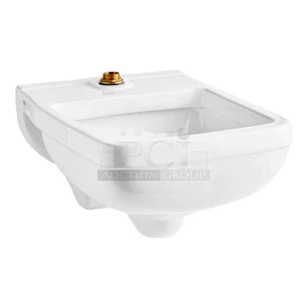 BRAND NEW SCRATCH AND DENT! American Standard 9512999.020  White Vitreous China Wall-Mount Clinic Service Sink - 6.5 GPF - Image 1 of 3