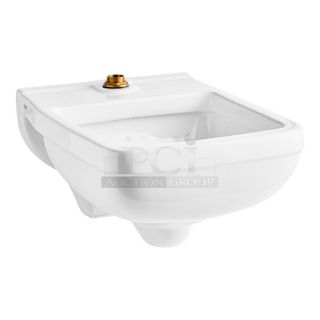 BRAND NEW SCRATCH AND DENT! American Standard 9512999.020  White Vitreous China Wall-Mount Clinic Service Sink - 6.5 GPF