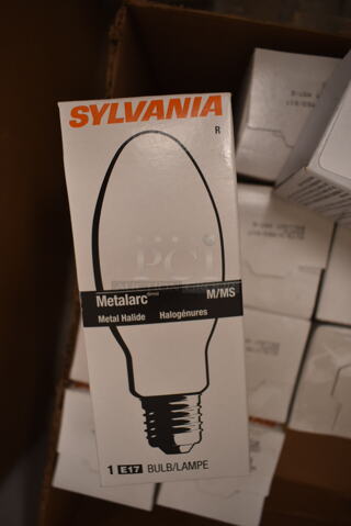 Lot of 13 Various Light Bulbs Including Sylvania M/MS (front room)