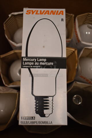 Lot of 10 Various Light Bulbs Including Sylvania Mercury Lamp. (front room)
