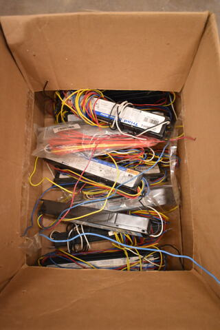 Lot of 10 Various Ballasts Including Triad. (front room)