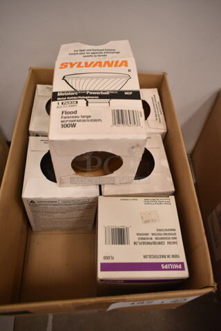 Lot of 6 Various Flood Light Bulbs Including Sylvania and Philips. (front room)