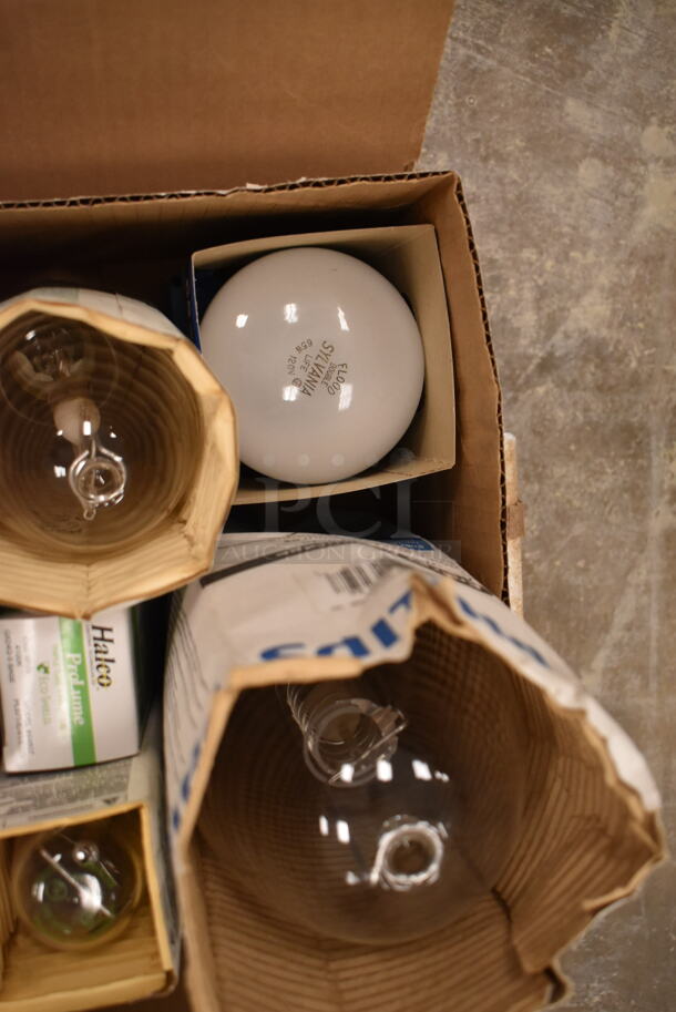 Lot of 11 Various Bulbs Including Ushio, Philips and Sylvania. (front room) - Image 2 of 4