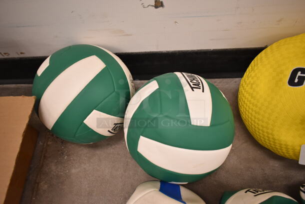 8 Balls; 6 Volleyball and 2 Playground Balls. 8 Times Your Bid! (front room) - Image 5 of 9