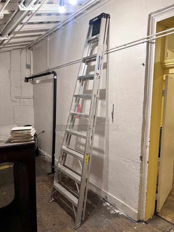 Werner Large Ladder  - Image 1 of 5