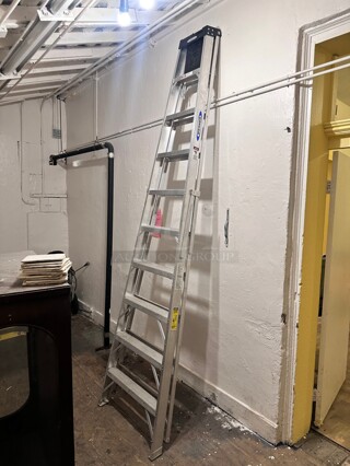 Werner Large Ladder 