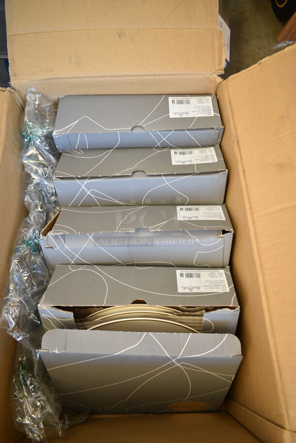 BRAND NEW SCRATCH AND DENT! Box of 4 Boxes of Rosenthal Jade Starr's Veronica Plates.  - Image 2 of 6